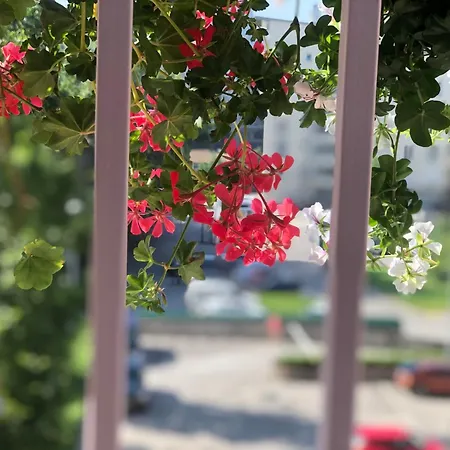 The Great Gatsby Apartment Sarajevo