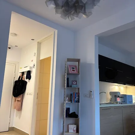 The Great Gatsby * 塞拉耶佛